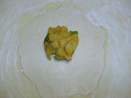 sri lanken vegetable/meat roti(wraps